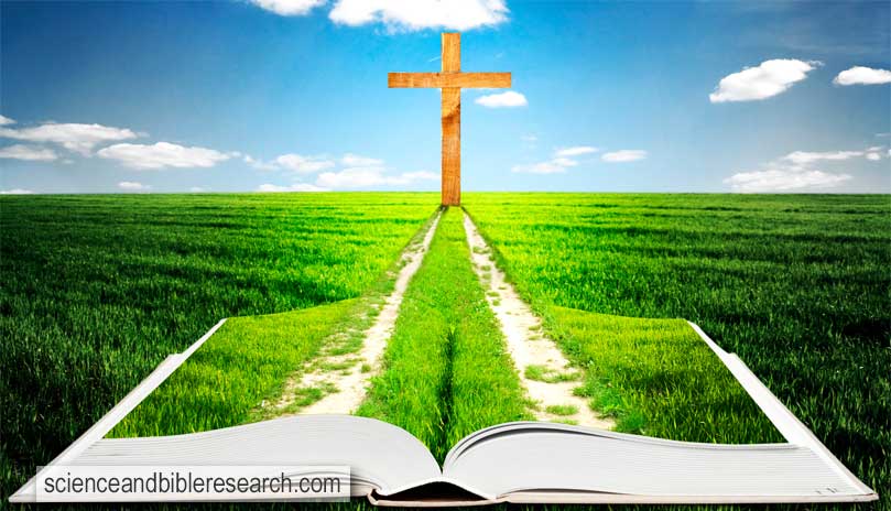 Open bible with grass and a way walking towards a cross (Photo by Olegkalina)