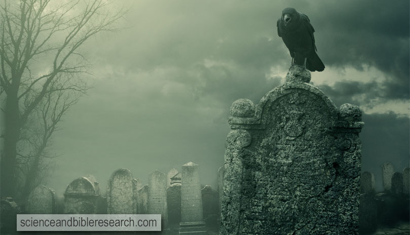 Tombstone (Photo by hitdelight)